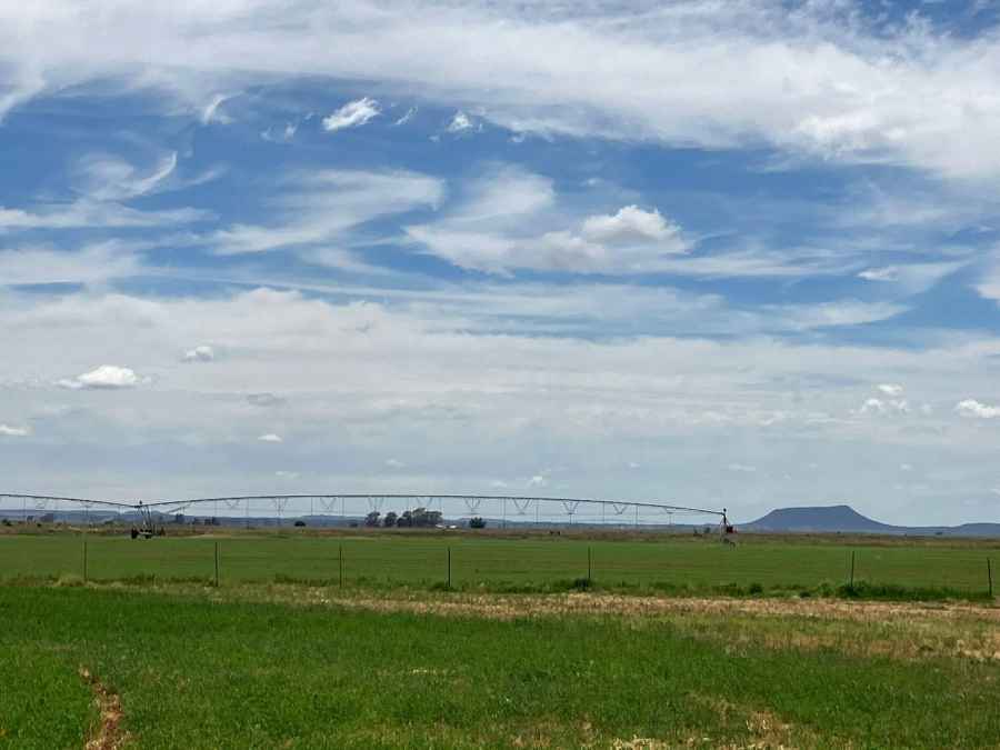 3 Bedroom Property for Sale in Bloemfontein Rural Free State